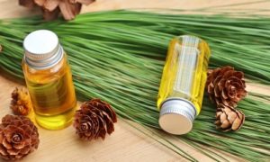 Pine Essential Oil 