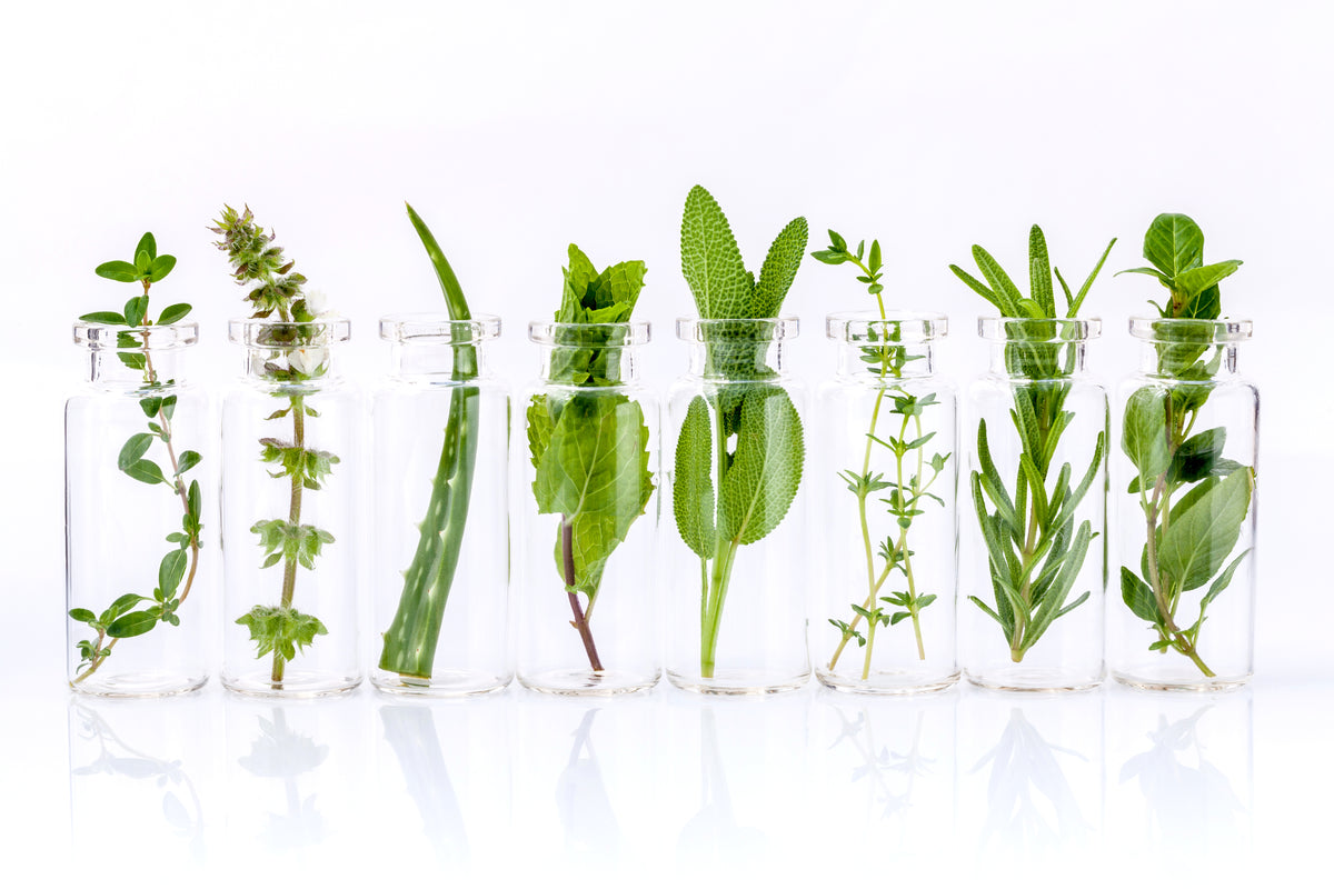 Best Essential Oils for Skin Care