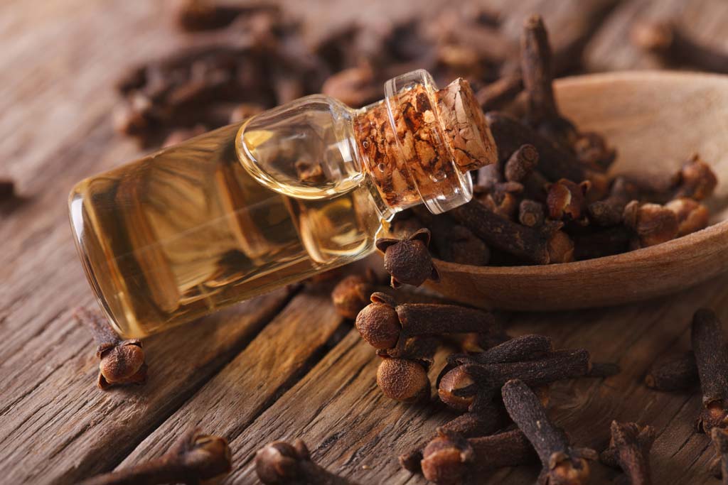 Benefits of Clove Oil