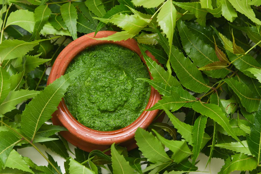 9 Benefits of Neem 