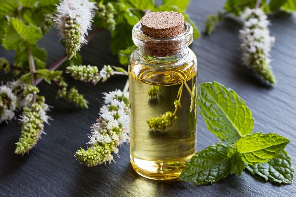 Peppermint oil 